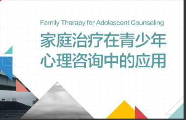 龙迪 家庭治疗在青少年心理咨询中的应用【共：1.10 GB】