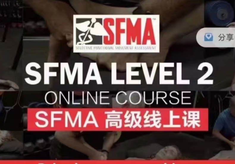 SFMA高级线上课【共：2.80 GB】